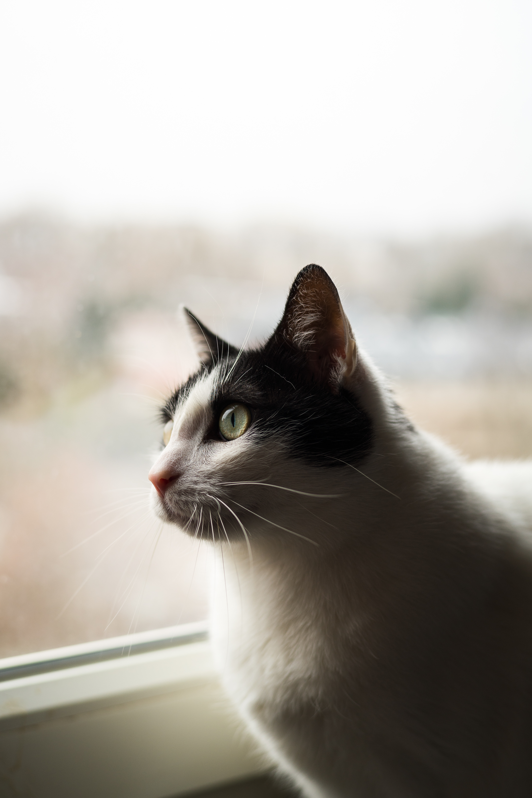 Portret 05299